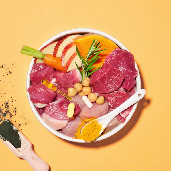 Primal Lamb & Ostrich High Meat Dry Food Clearance