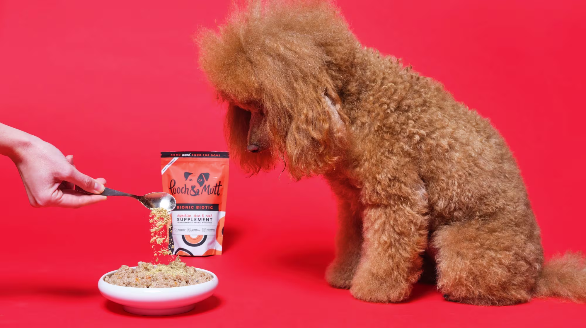 probiotic supplement for dog