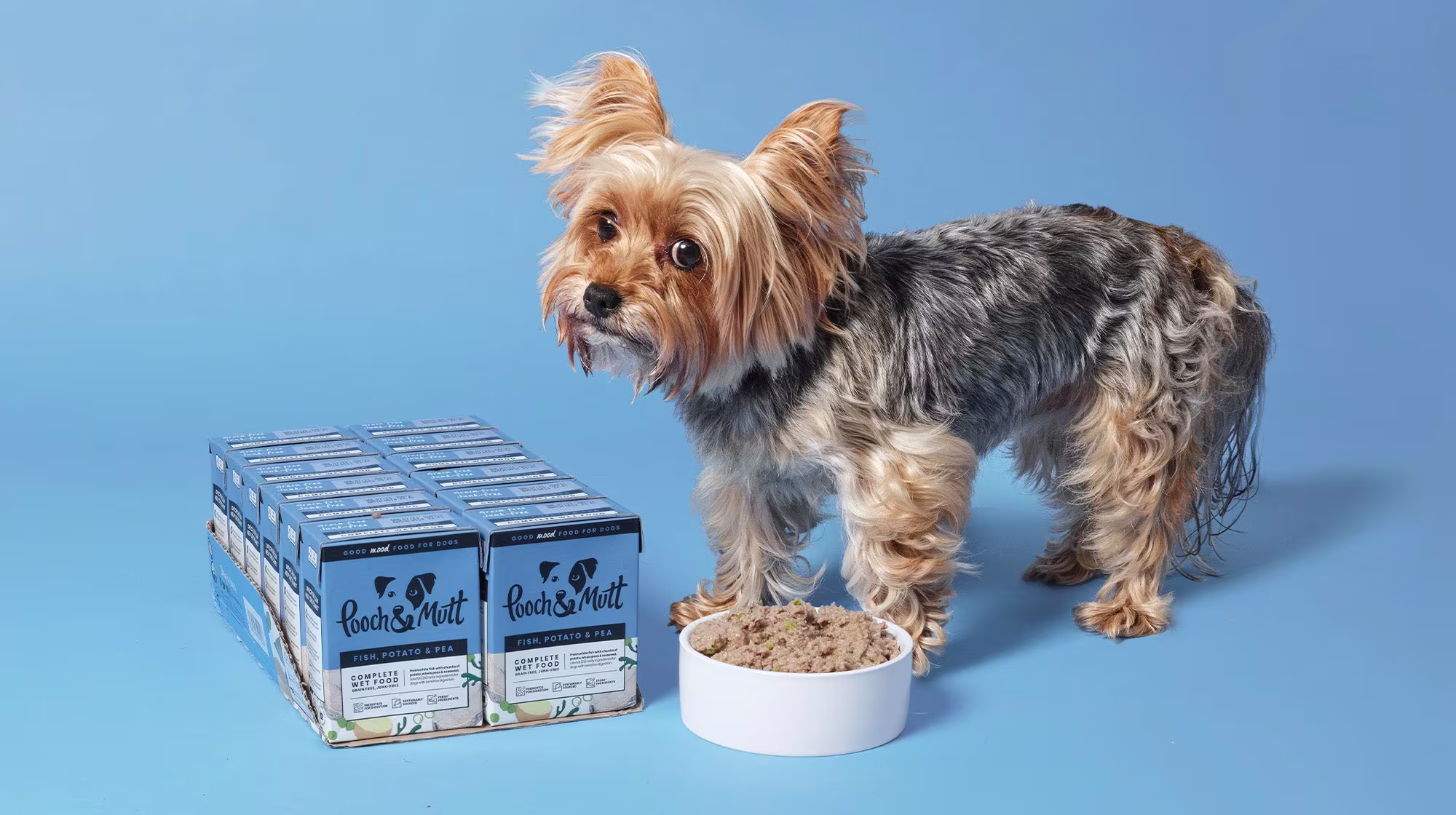 Chicken allergies in dogs:  Everything you need to know-Image 4