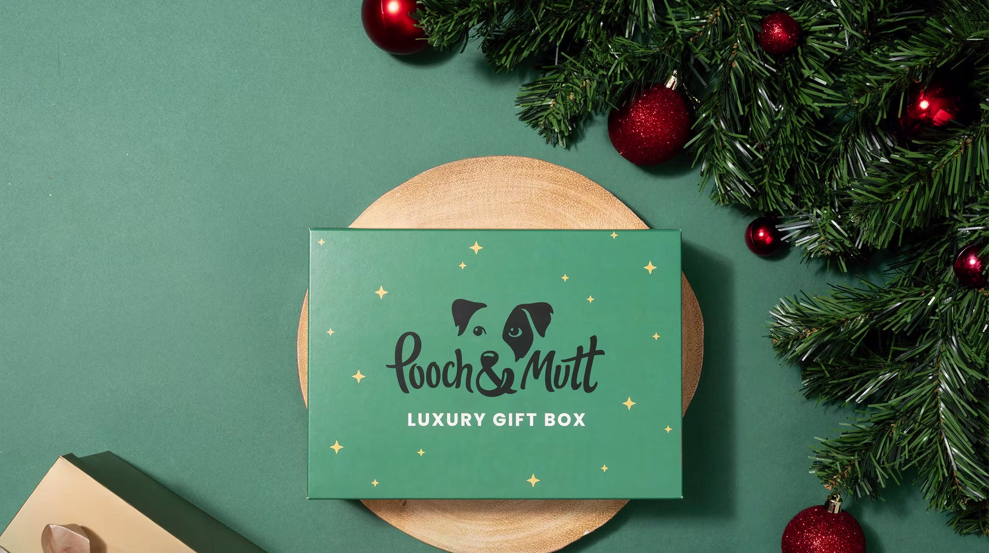 How to dog-proof your house this Christmas-Image 2