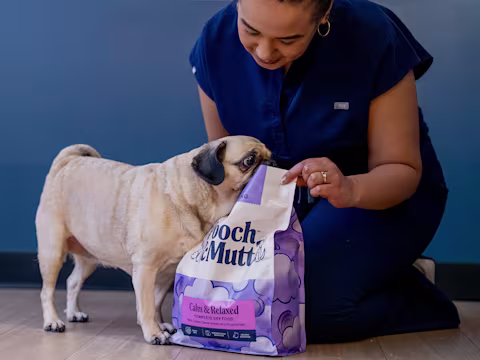 Image of Dr Bushra Schuitemaker with a Pug and a bag of Calm & Relaxed Dry Food