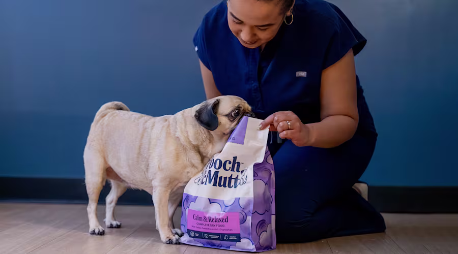 Image of Dr Bushra Schuitemaker with a Pug and a bag of Calm & Relaxed Dry Food