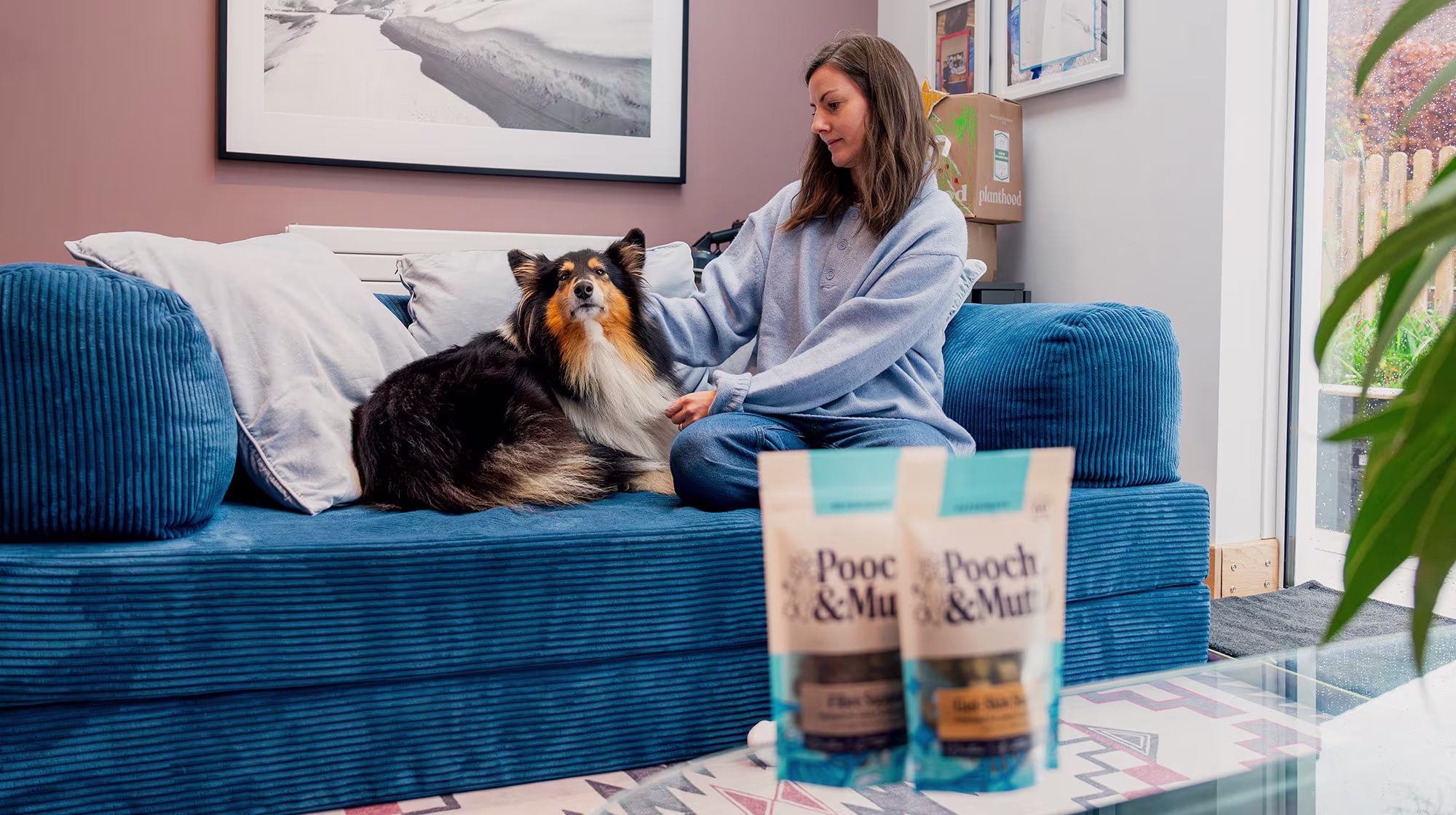 BLOG GUT HEALTH RETESTING DOGS GUT IS CRUCIAL FEATURED IMAGE