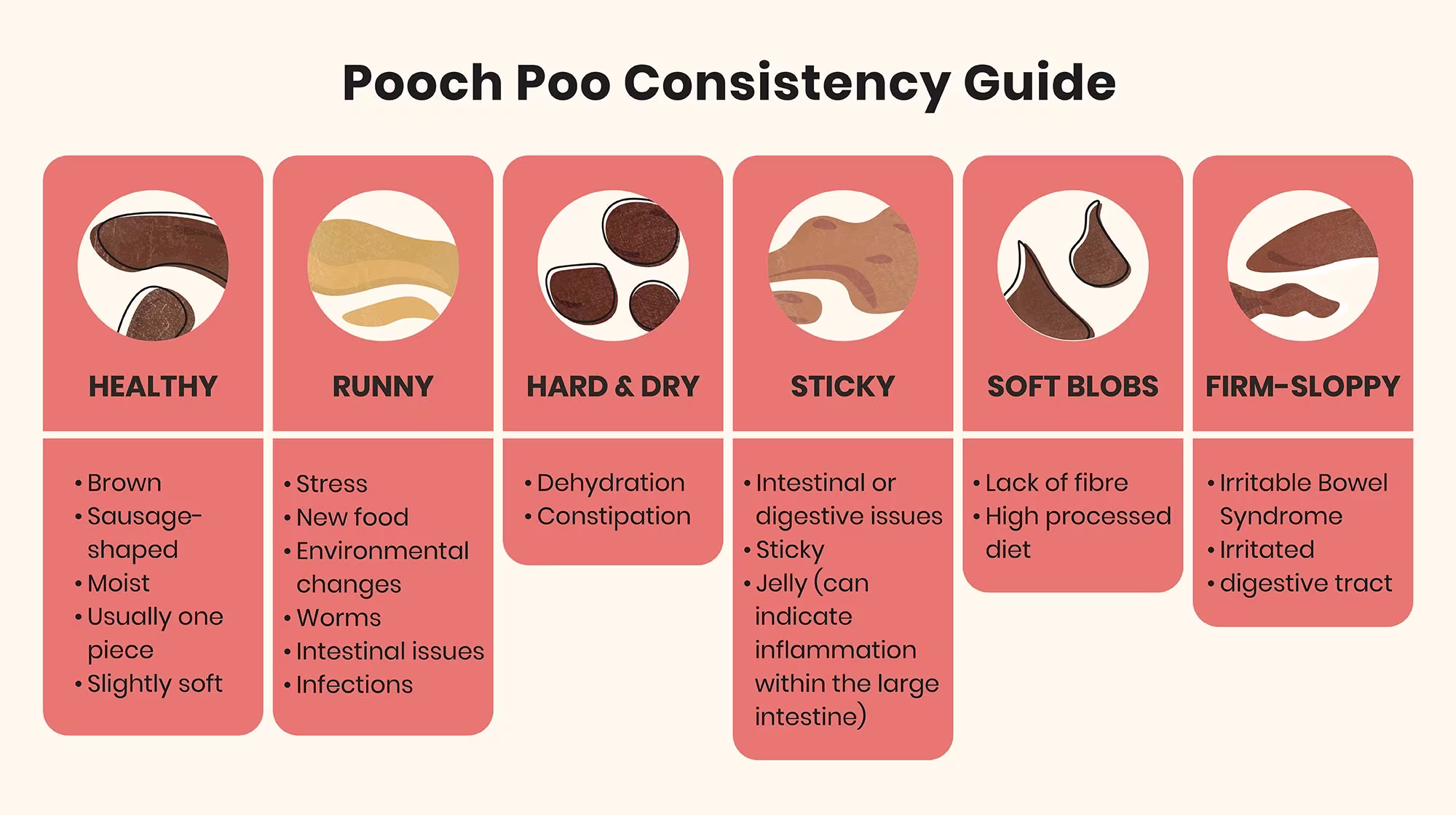 What can your dog's poo tell you about their health?-Image 1