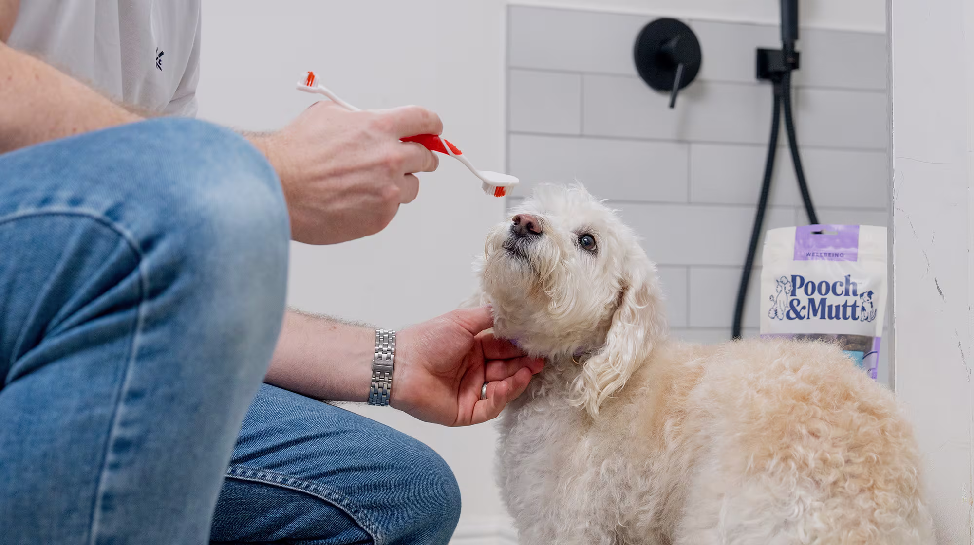 BLOG TEETH CLEANING