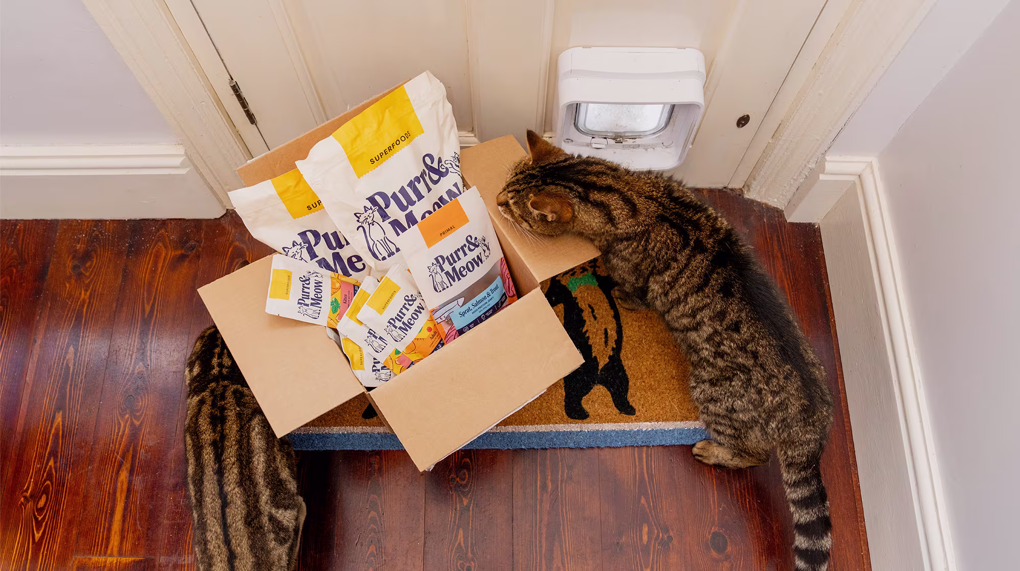 BLOG WHY HAS PURR & MEOW REBRANDED BODY IMAGE 2