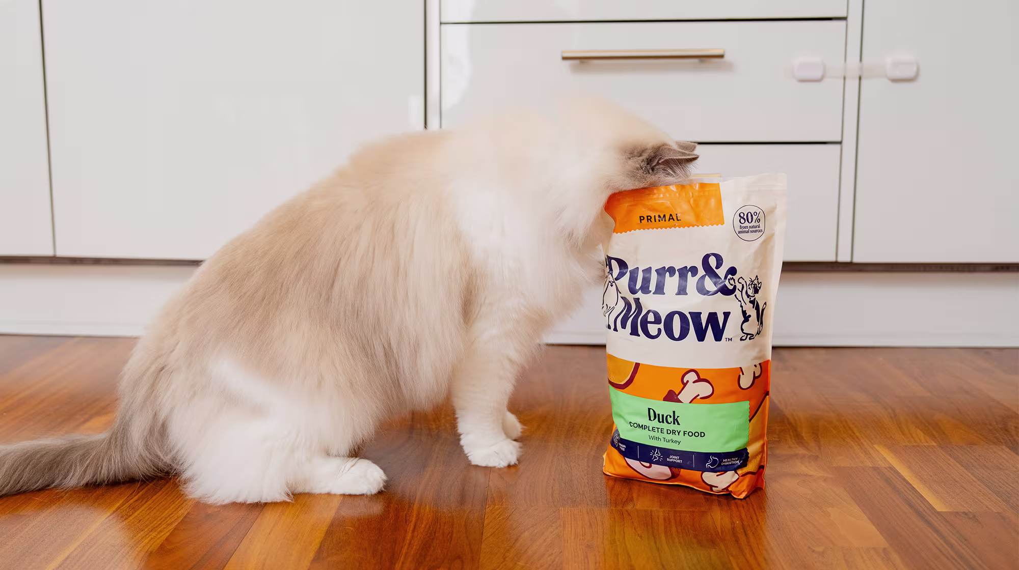 BLOG WHY HAS PURR & MEOW REBRANDED HEADER