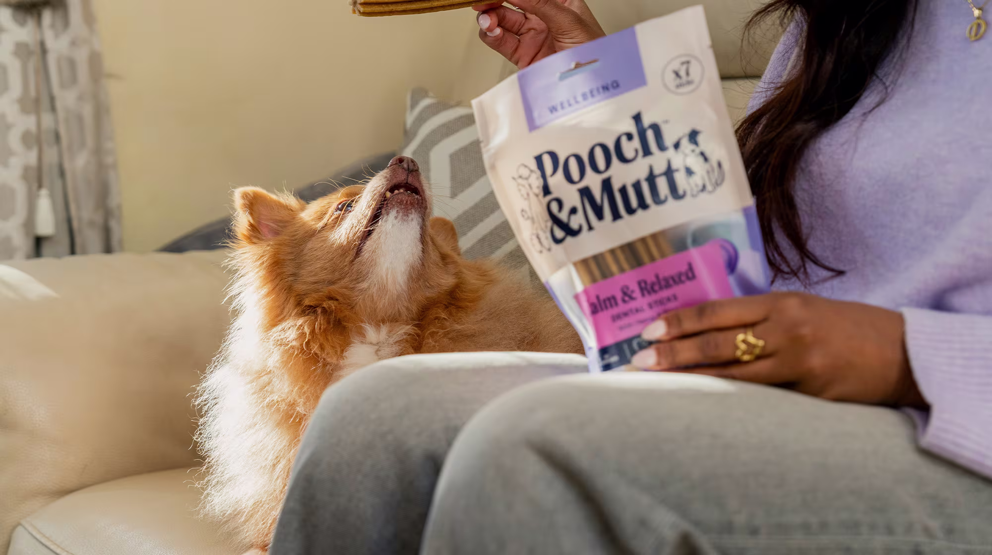 A dog and their owner sit on  the sofa as the owner holds a Pooch & Mutt Calm & Relaxed Dental Stick over the dog's head, and they look up longingly at it.