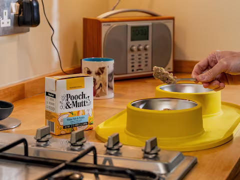 A dog owner spoons Pooch & Mutt Wet Food into a yellow dog bowl