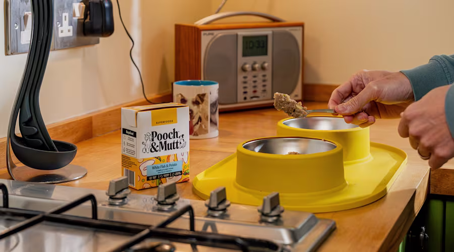A dog owner spoons Pooch & Mutt Wet Food into a yellow dog bowl