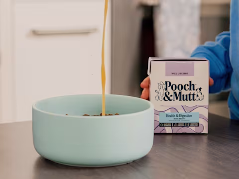 A dog owner pours Pooch & Mutt's Health & Digestion Bone Broth into a bowl of dog food sat on a kitchen counter whilst holding the packaging. 