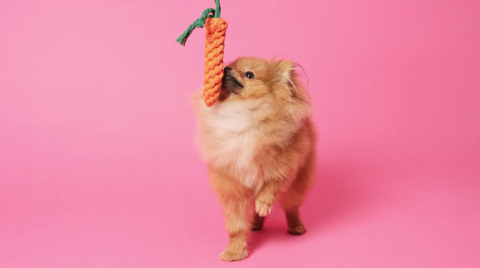 How to beat TikTok’s trending icks-Image 2