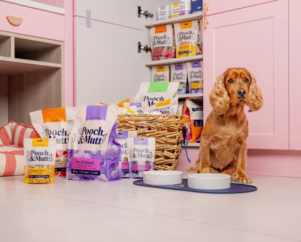 Teddy sits with a range of Pooch & Mutt food and treats