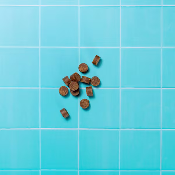 Gut and Skin Itch Essentials