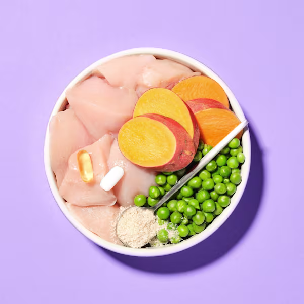Slim & Slender Dry Food Clearance