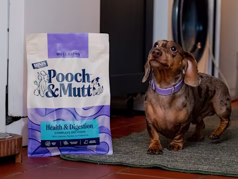 A Dachshund stands next to a bag of Pooch & Mutt Health & Digestion Dry Food.