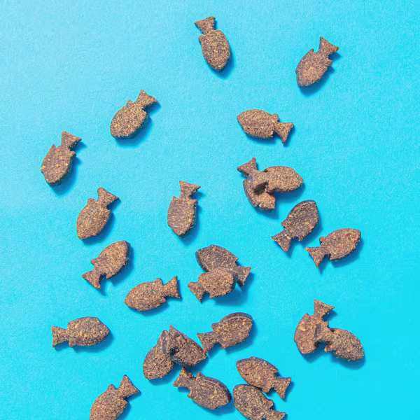 Health & Digestion Probiotic Fish Treats Gift
