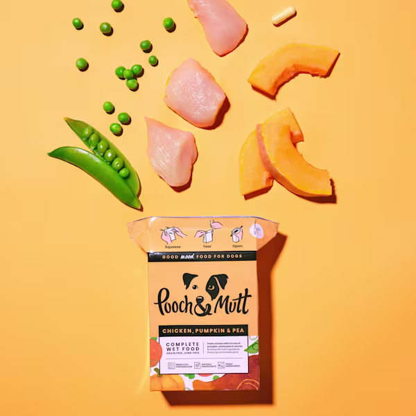 Chicken, Pumpkin & Pea Wet Food Clearance