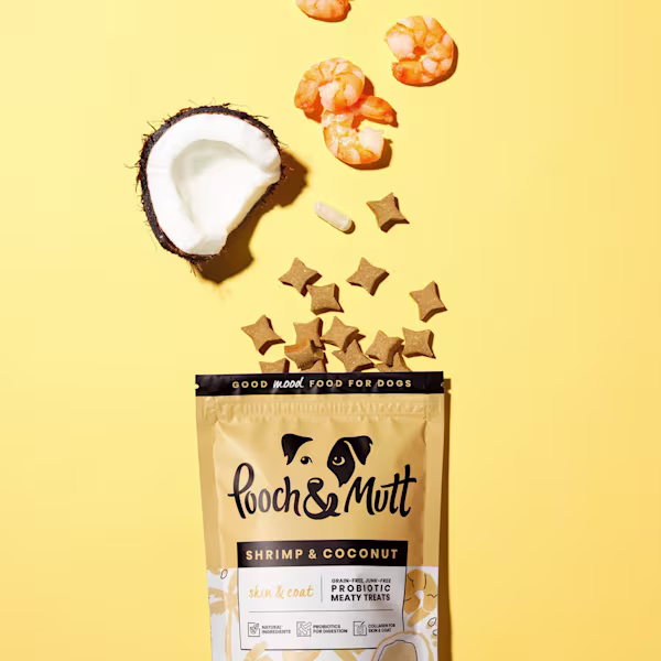 Skin & Coat Probiotic Meaty Treats Gift