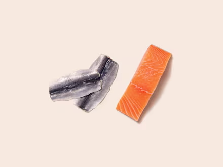 Herring & Salmon