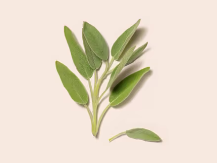 Sage