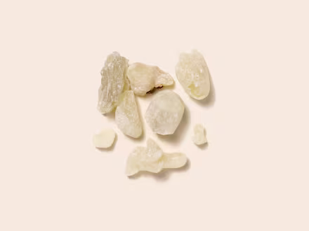 Boswellia Serrata