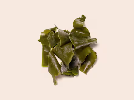 Algae