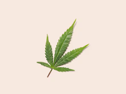 Hemp Oil 