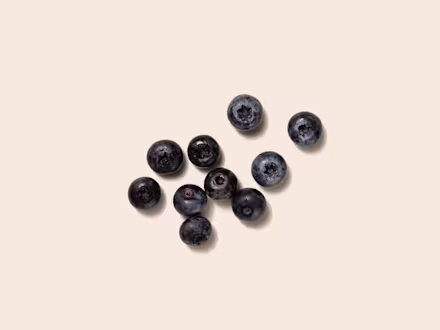Arctic Blueberry