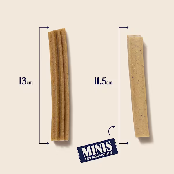 P-26M WEB DENTAL STICKS SIZE MINIS WELLBEING HEMP -26 SAGE