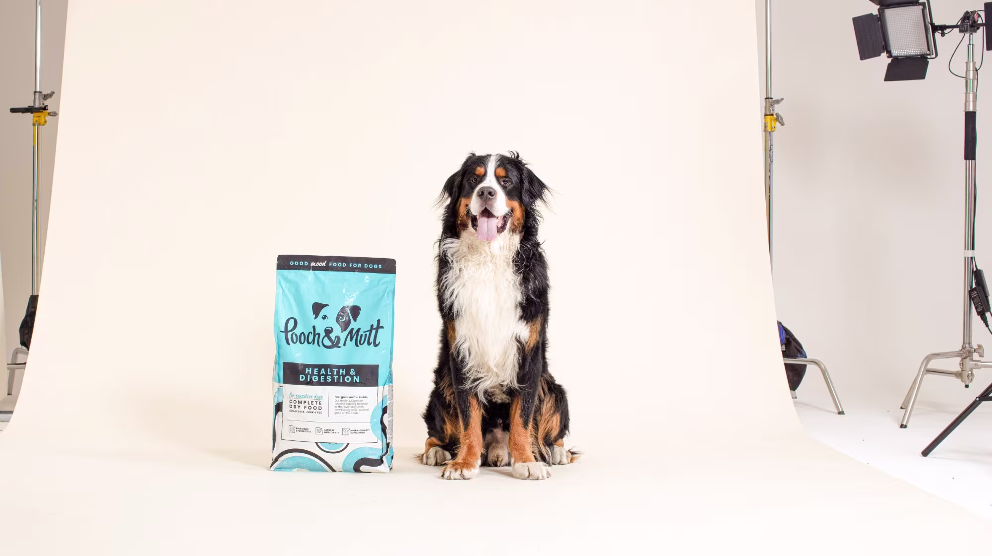 A black, brown, and white dog, sat next to a bag of Pooch & Mutt Health & Digestion food, on a photography set