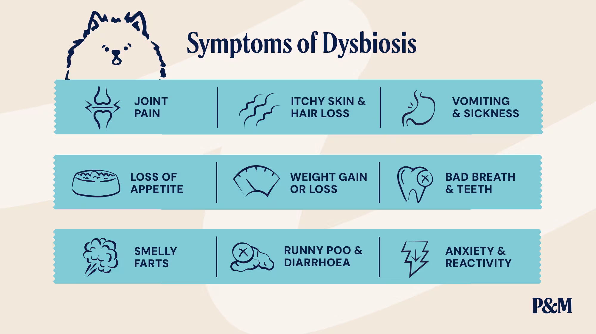 P&M BLOG INFOGRAPHIC SYMPTOMS OF DYSBIOSIS