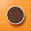 P&M CAT PRIMAL SALMON DRY FOOD 72dpi