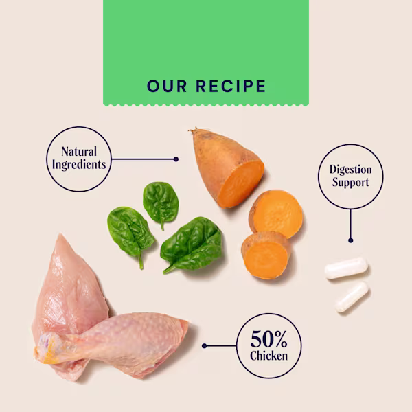 P&M INGREDIENT IMAGE FRESH SALMON