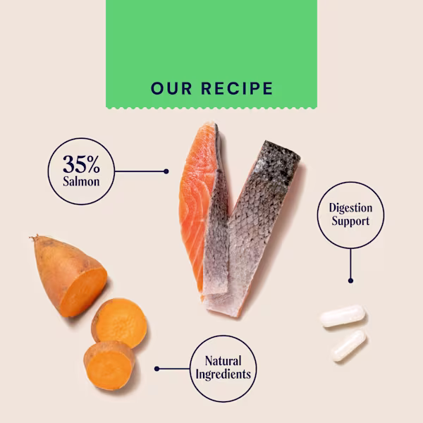 P&M INGREDIENT-IMAGE FRESH SALMON