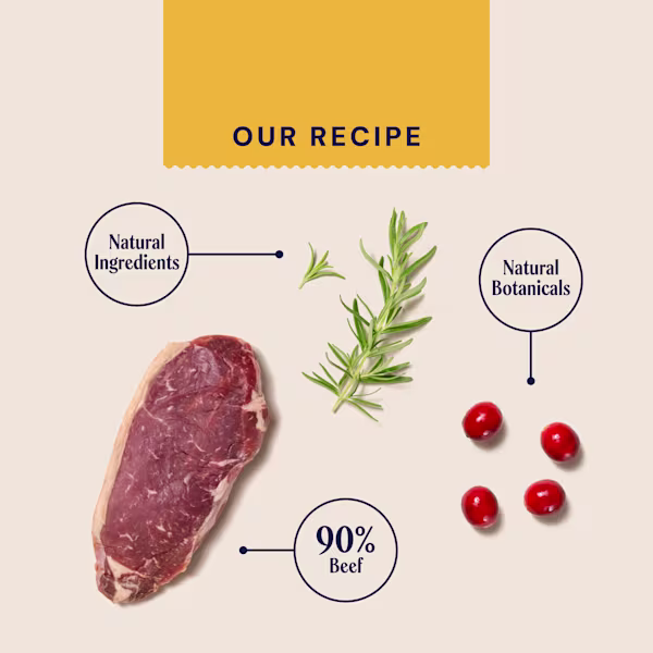PUPPY JERKY RECIPE CARD