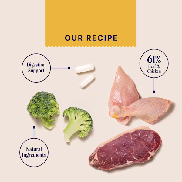 P&M INGREDIENT IMAGE SUPERFOODS CHICKEN & BEEF WET FOOD