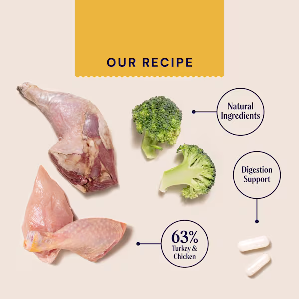 P&M INGREDIENT IMAGE SUPERFOODS CHICKEN & TURKEY WET FOOD