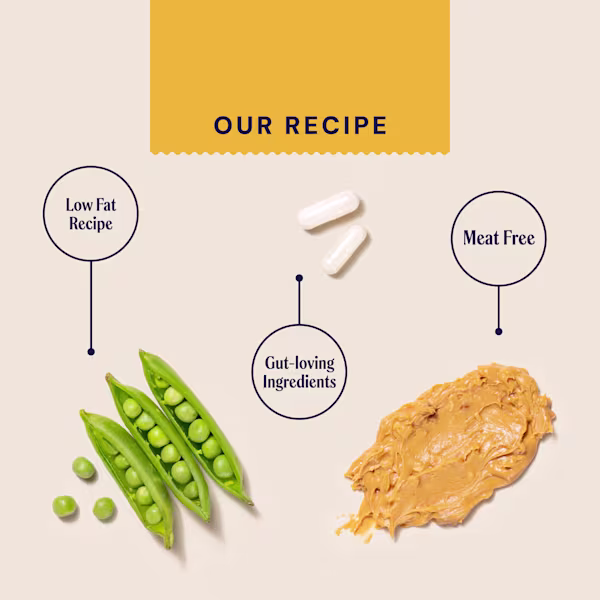 Peanut Butter Postbiotic Nutty Treats