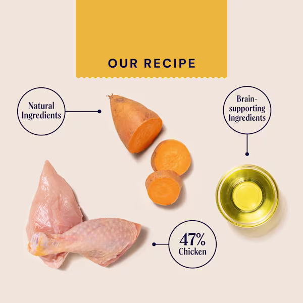 Puppy Wet Food TETRA375PUP 1 RECIPECARD