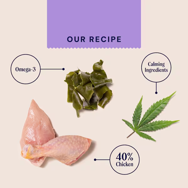 Hemp Chewies