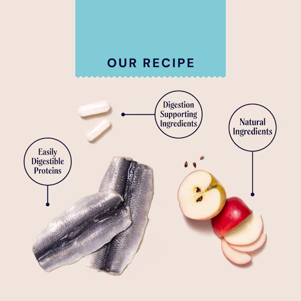 P&M INGREDIENT-IMAGE VET GASTRO