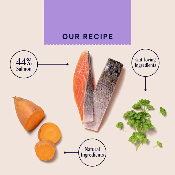 P&M INGREDIENT IMAGE WELLBEING HEALTH & DIGESTION