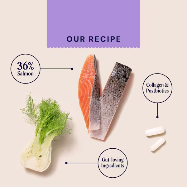 Health & Digestion Postbiotic Fish Treats