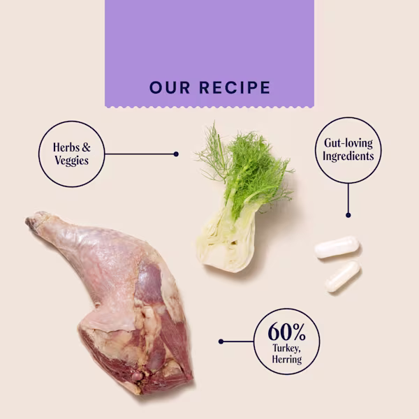 P&M INGREDIENT IMAGE WELLBEING HEALTH & DIGESTION WET FOOD