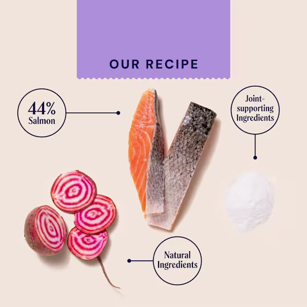 P&M INGREDIENT IMAGE WELLBEING JOINT & MOBILITY