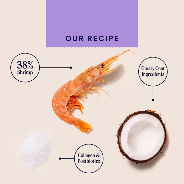Skin & Coat Postbiotic Meaty Treats