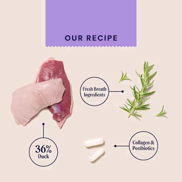 Dental Postbiotic Meaty Treats