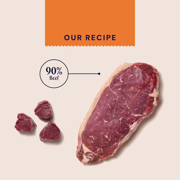 Primal High Protein Beef Jerky