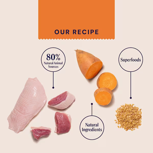 Primal Duck & Turkey Dry Cat Food